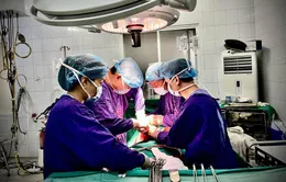 Cấp cứu thành công ca vỡ tụy hiếm gặp do tai nạn lao động