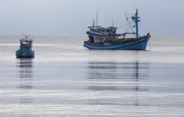 Phạt 5 chủ tàu vi phạm giám sát hành trình khai thác thủy sản