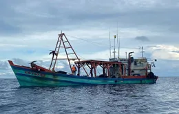 Bắt giữ tàu cá vận chuyển trái phép 60.000 lít dầu DO trên biển