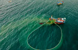 Nhịp sống yên ả nơi làng lưới Cửa Bé