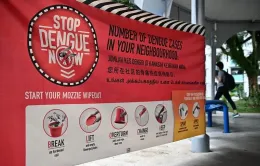 Singapore khuyến cáo người dân cảnh giác với dịch sốt xuất huyết