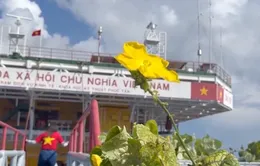 Mầm xanh trên nhà giàn
