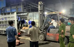 Phát hiện hơn 1 tấn thịt lợn đã bốc mùi chuẩn bị tuồn ra thị trường