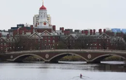 Hong Kong (Trung Quốc) mời gọi sinh viên từ Harvard sau lệnh cấm tuyển sinh quốc tế
