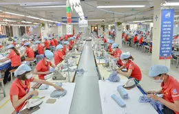Xuất khẩu đa dạng hóa thị trường, linh hoạt để về đích