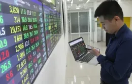 VN-Index đảo chiều tăng vọt