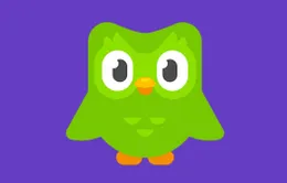 Một tuần sau phát ngôn gây bức xúc, CEO Duolingo hối hận: "Tôi không coi AI như thứ thay thế"