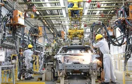 "Cú sốc" thuế quan đối với các doanh nghiệp vừa và nhỏ