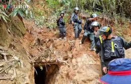 Gia Lai: Vàng tặc phá nát cánh rừng Đăk Sơ Mei