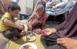 Cuộc sống của một gia đình bên bờ vực nạn đói ở Dải Gaza