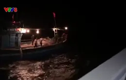 10 thuyền viên mất tích trong vụ chìm tàu ngoài khơi Hà Tĩnh
