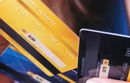 Số lượng thẻ ngân hàng nội địa giảm nhẹ