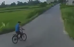 Tránh người đi xe đạp sang đường, xe tải lao xuống ruộng