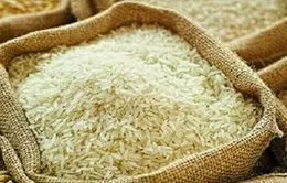 Giá gạo tại Nhật Bản tăng vọt chưa từng thấy