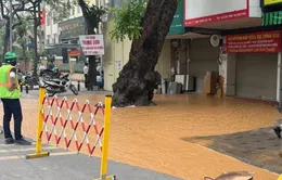 Bùn đất phun trào trên phố Cát Linh (Hà Nội)