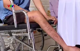 Phòng ngừa tai nạn lao động từ sớm, từ xa