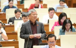 Có nên bỏ án tử hình với tội phạm liên quan đến thuốc, thực phẩm giả?