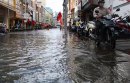 Triều cường ở mức cao, mưa lớn, gió mạnh và sóng cao trên đất liền và trên biển