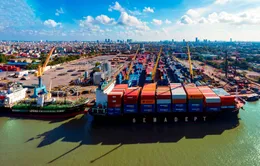 Tắc nghẽn cảng biển nghiêm trọng tại châu Âu