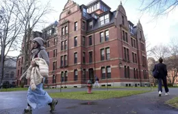 Tổng thống Mỹ cân nhắc chuyển tài trợ cho Harvard sang trường dạy nghề