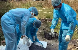 Đồng Nai: Chủ động phòng dịch, ngăn ngừa bùng phát bệnh truyền nhiễm