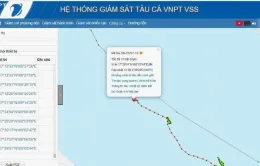Quảng Bình: Khẩn trương tìm kiếm ngư dân rơi xuống biển mất tích