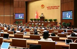 ĐBQH: Cần đơn giản hoá thủ tục của hoạt động quy hoạch