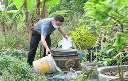 Chủ động phòng sốt xuất huyết: Mỗi nhà 10 phút, cộng đồng an toàn