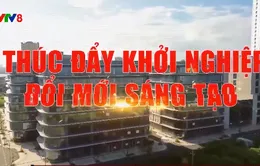 Thúc đẩy khởi nghiệp đổi mới sáng tạo