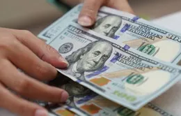 Nghiêm cấm mua bán ngoại tệ trái phép