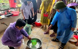 Hoàn tất xử lý môi trường, phòng ngừa dịch bệnh sau mưa lũ