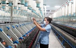 Thúc đẩy sản xuất kinh doanh hiệu quả đối với doanh nghiệp nhà nước