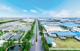 Việt Nam phải có sự nâng cấp hệ sinh thái khu công nghiệp