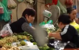 Bổ sung đối tượng tham gia BHXH bắt buộc: Vẫn còn nhiều băn khoăn