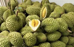 Ưu tiên thông quan nông lâm thủy sản và sầu riêng