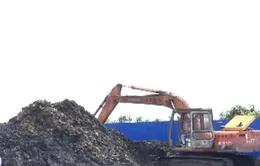 Phát hiện hàng nghìn tấn chất thải rắn không qua xử lý gây ô nhiễm môi trường