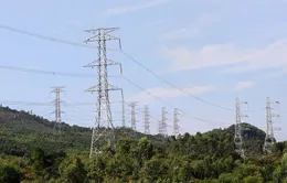Đẩy nhanh tiến độ dự án đường dây 500 kV Lào Cai - Vĩnh Yên