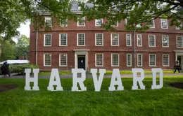 Hoãn tước quyền tuyển sinh viên quốc tế của Đại học Harvard
