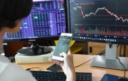 VN-Index lùi về mốc 1.330 điểm
