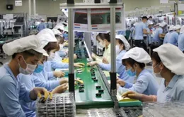 81% doanh nghiệp Việt vẫn tự tin về tăng trưởng tại thị trường quốc tế