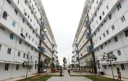 Hàng loạt căn hộ bỏ hoang có thể được chuyển thành nhà ở xã hội