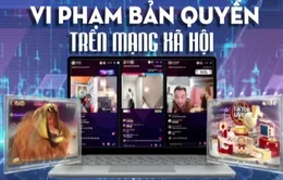 Vi phạm bản quyền từ thói quen “miễn phí”