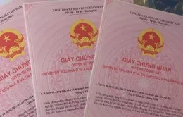 Đề xuất cấp sổ hồng điện tử tích hợp căn cước