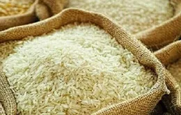 Giá gạo Ấn Độ chạm đáy