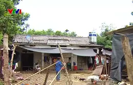 Nhiều hộ dân vùng sạt lở ở Hòa Bình sống tạm bợ suốt nhiều năm