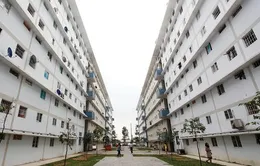 Chính sách đột phá phát triển nhà ở xã hội: Cắt giảm thủ tục, mở rộng cơ hội an cư