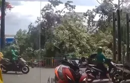 Video: Người đàn ông thoát chết khi cây đổ trúng lúc đang chạy xe