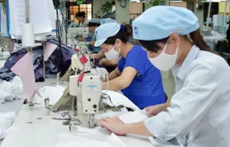 Doanh nghiệp đẩy nhanh xuất khẩu trước ngày Mỹ áp thuế