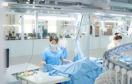 Doanh nghiệp xuất khẩu: "Đi bằng hai chân" để vươn xa bền vững
