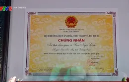 Lễ công bố “Tri thức dân gian về Sâm Ngọc Linh” là Di sản Quốc gia